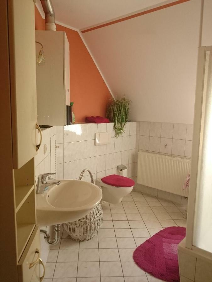 Ferienwohnung Knoche Zittau Luaran gambar